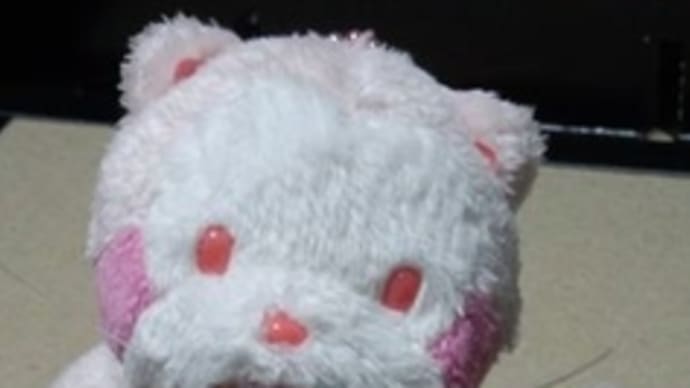 新種のポケモン?