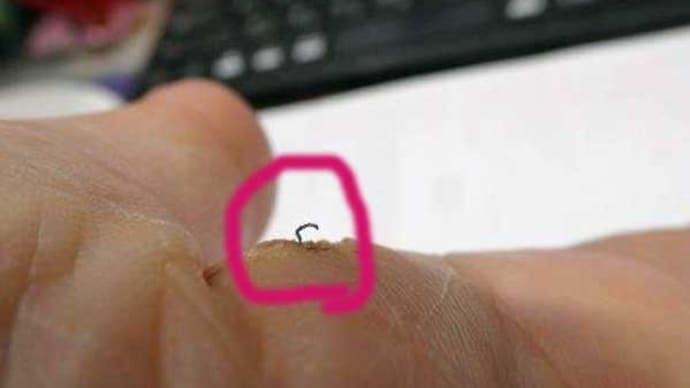 ぎょ! 引っこ抜かれた…