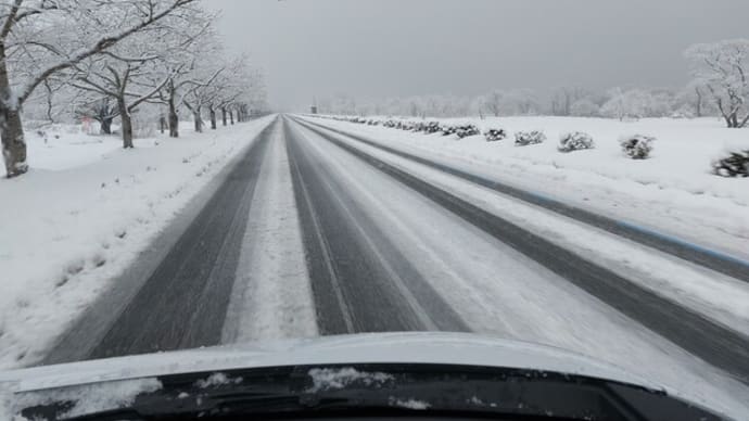 今日も、雪、そしてコロナ・・・。