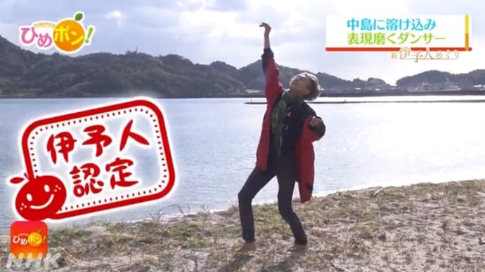 伊予人認定✨いただきました〜♪ (^○^) NHKにて放映!