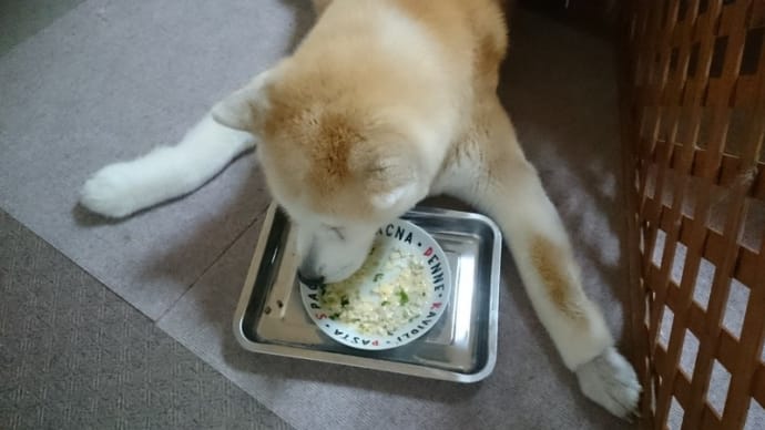 食後の一枚、続き