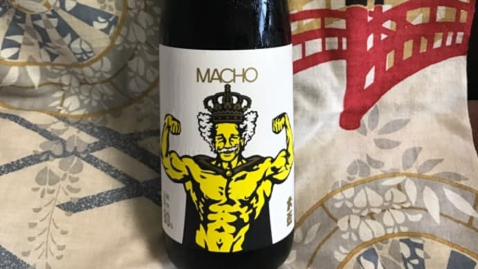 筋トレ後の一杯!★群馬「大盃 macho 純米【山田錦】80%」を呑みました!