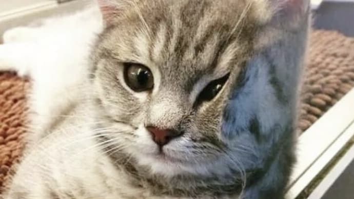 一枚の写真『今日もおかえり遅いのかな』