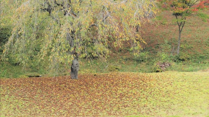 栃木県鹿沼市の古峯神社の古峰園の紅葉