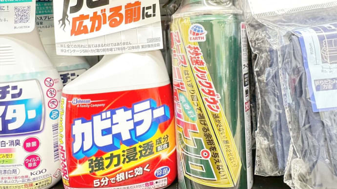 これこれ!コレが欲しかったのよ〜