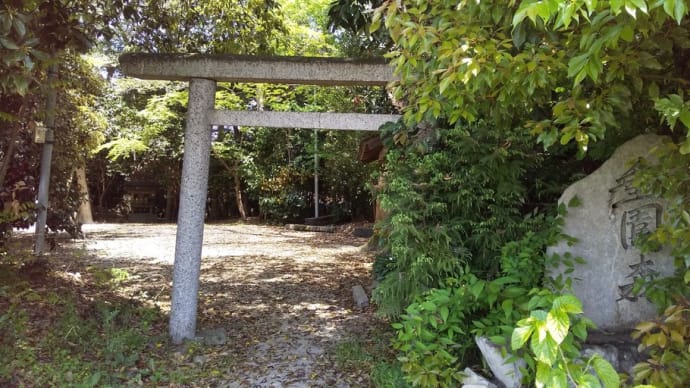 垂園森や哀園森辺りの田園風景
