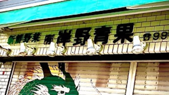 再见了 岸野果蔬店