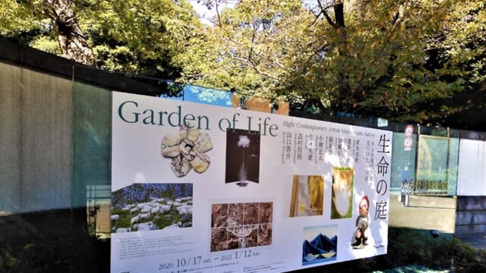２０２０・１１・１　東京都庭園美術館「生命の庭－８人の現代作家が見つけた小宇宙－」。志村信裕。佐々木愛。