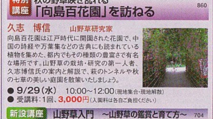 NHK学園、市川オープンスクール講座のご案内