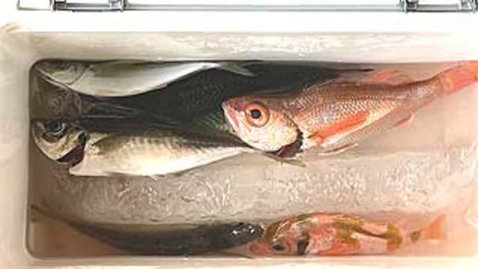 F様のアカムツ釣行(鹿島、清栄丸)。