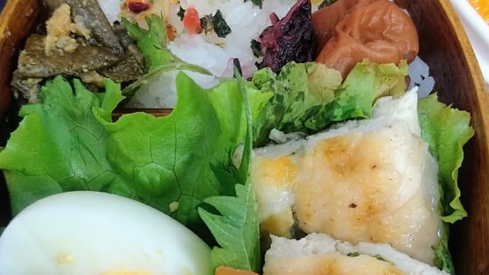 今日はささみ弁当(≧▽≦)