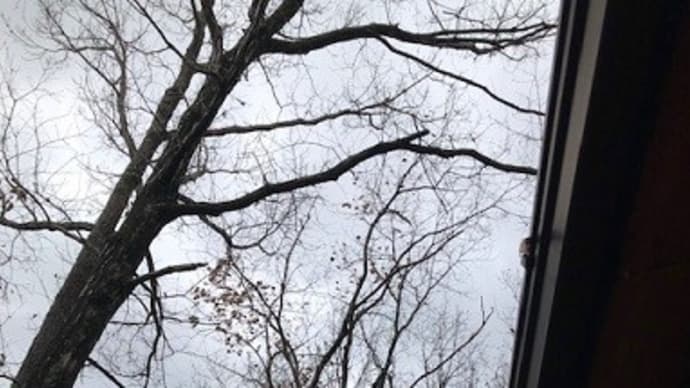 今日は冬至です