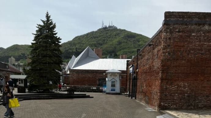 函館に来たらやっぱ赤レンガ倉庫街に行くっしょ