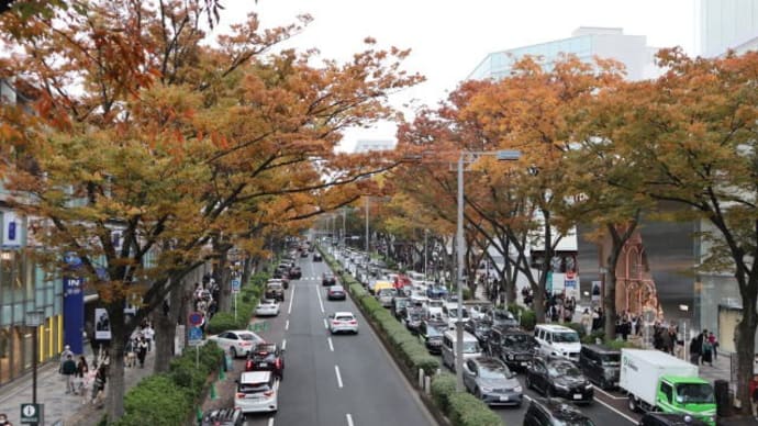 渋谷川コース渋谷ストリーム経由 約6.2km