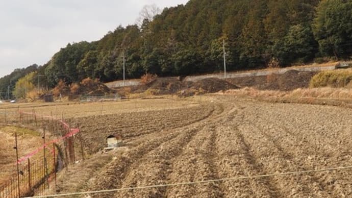 奈良市東南部の古墳探索③　～大川池塚古墳・五つ塚古墳群～
