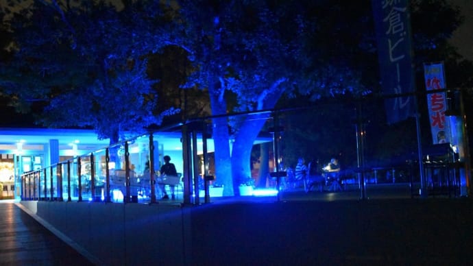 さぁ、夜の植物園へ 神奈川県鎌倉市 日比谷花壇大船フラワーセンター(12)ライトアップ