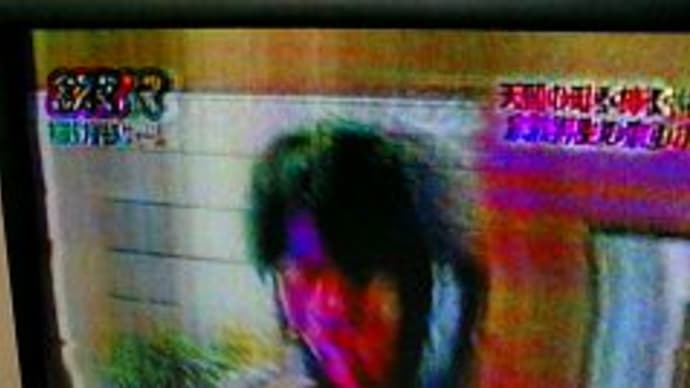 テレビが映ら~~ん