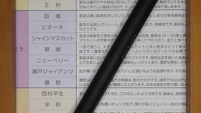 STALOGY シャープペンシル 芯径0.5mm(生け文具4052)