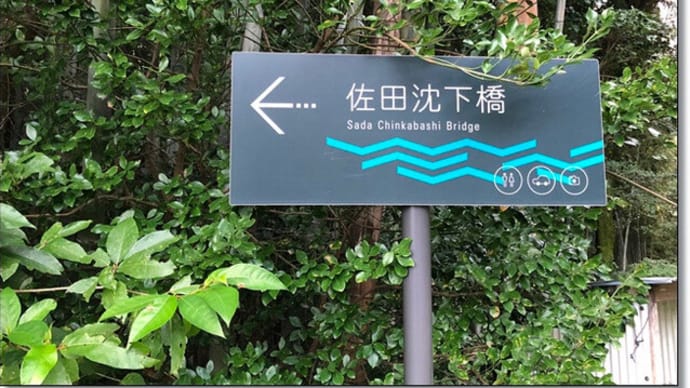 高知旅行「四国の2つの岬の絶景とグルメ紀行」ツアーへ行ってきました~4,四万十川・佐田の沈下橋、足摺岬