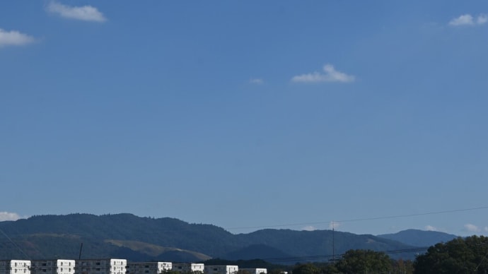 池田の「Lucci」でイタリアンランチを