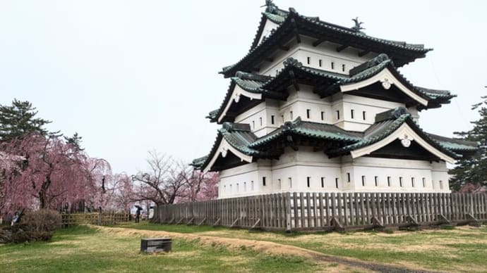 さあ、一番の目的弘前の桜はどうだったか?