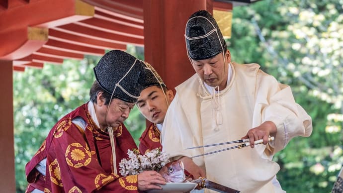 包丁式【鶴岡八幡宮舞殿】日本料理の伝統を今に伝える厳粛な儀式