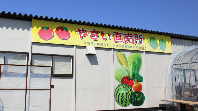 農産物直売所とその周り、そしてうど1