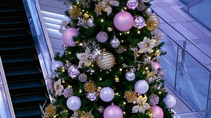 ●金沢 街中を散歩(3) デパートのクリスマスツリー