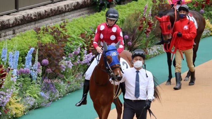 がんばれ!初勝利9