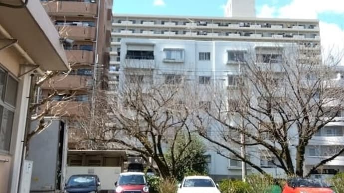 2025/04/08㈫ 〇〇年前の入学式