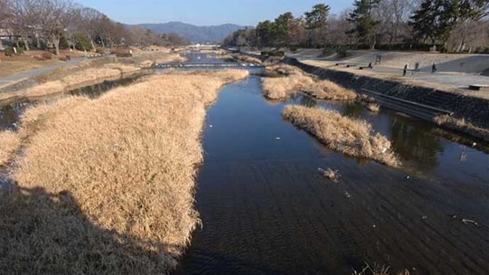 26日、京都府立植物園からの冬だより