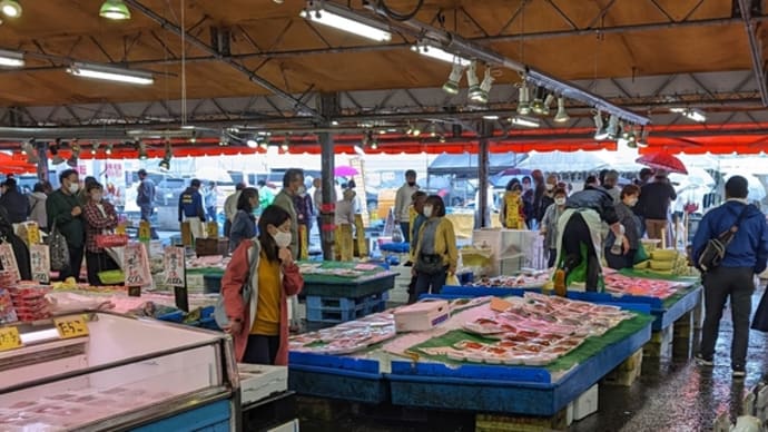 雨中、平日、休店ありでも混雑な魚港市場