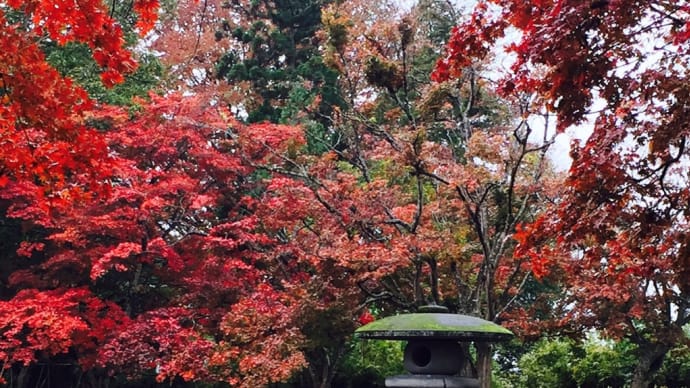 秋田の紅葉 ~星空掲示板~