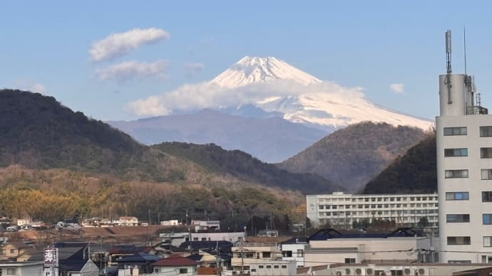 中伊豆、温泉♨️旅行③伊豆長岡