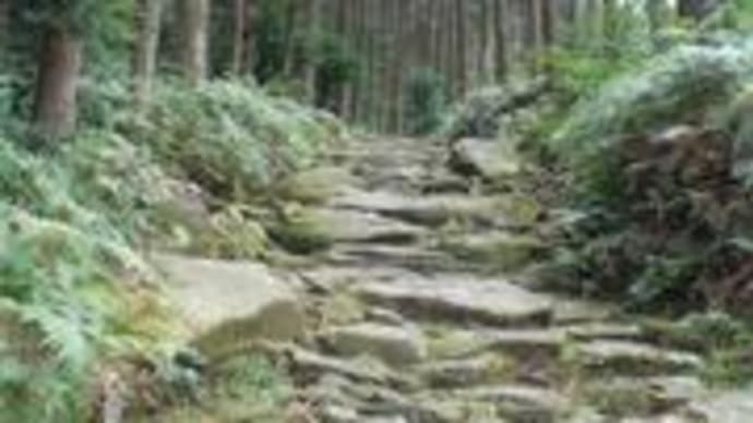 堂場瞬一著「綱を引く」