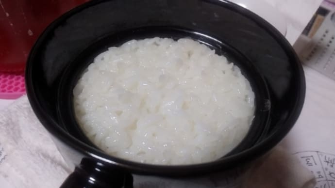 電子レンジでご飯🍚
