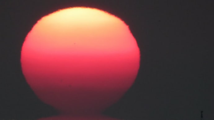 01月10日の達摩夕日