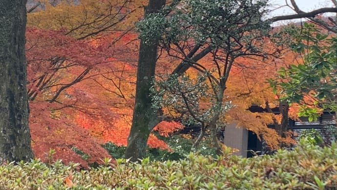 アナログな日