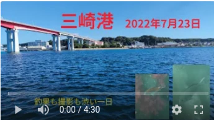 三崎港で釣り アクションカメラを沈めてみよう