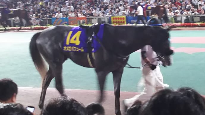 👑🐴帝王賞2021 & きょうのおうまさん(6/30)
