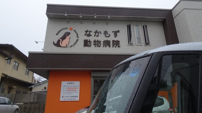 かかりつけ医