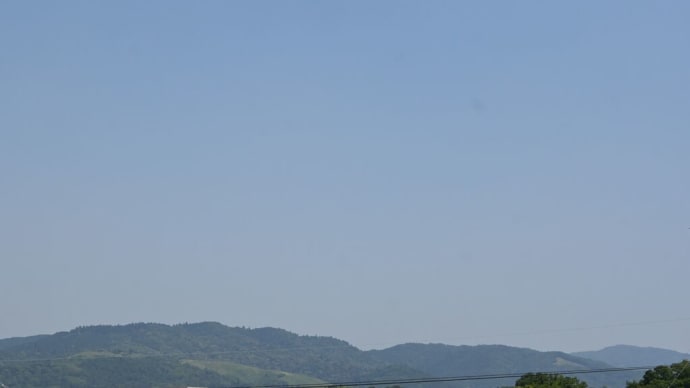 興福寺の東金堂と山田寺仏頭との関連性