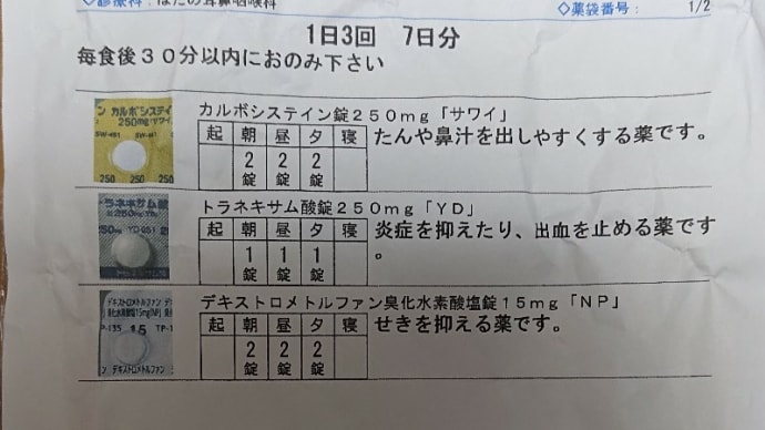 ブログ220823 コロナに感染した9~質問の多かったことに回答◆処方された薬は何でした?