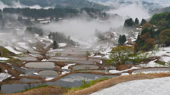 棚田の雪どけ