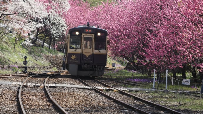 わたらせ渓谷鉄道花桃乗り鉄