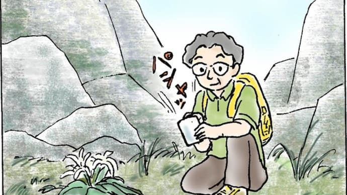 見つかる!!