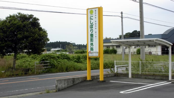 今だから解る、この痛み