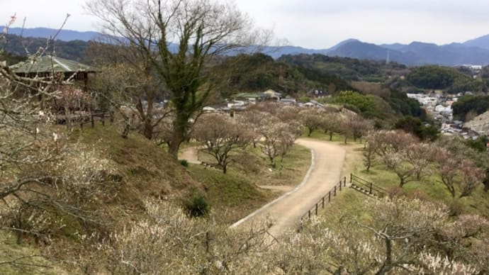 梅林公園と猿まわし