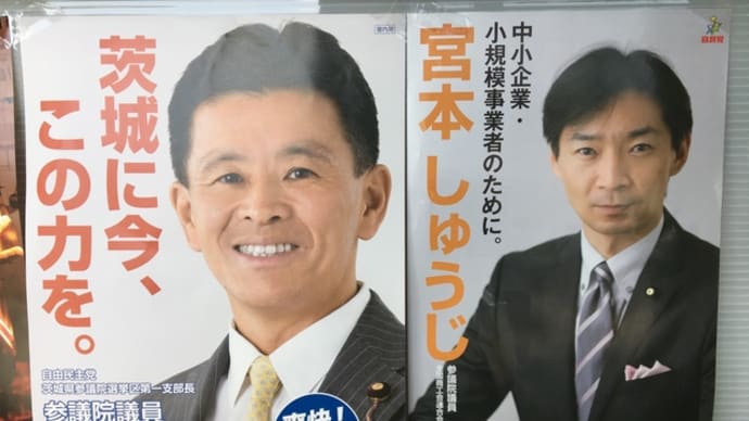 参院選