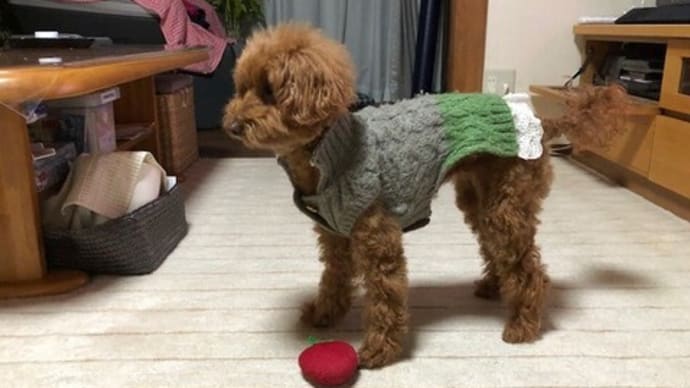 1月17日 1番風呂は良い